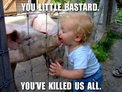 child kissing pig child kissing pig